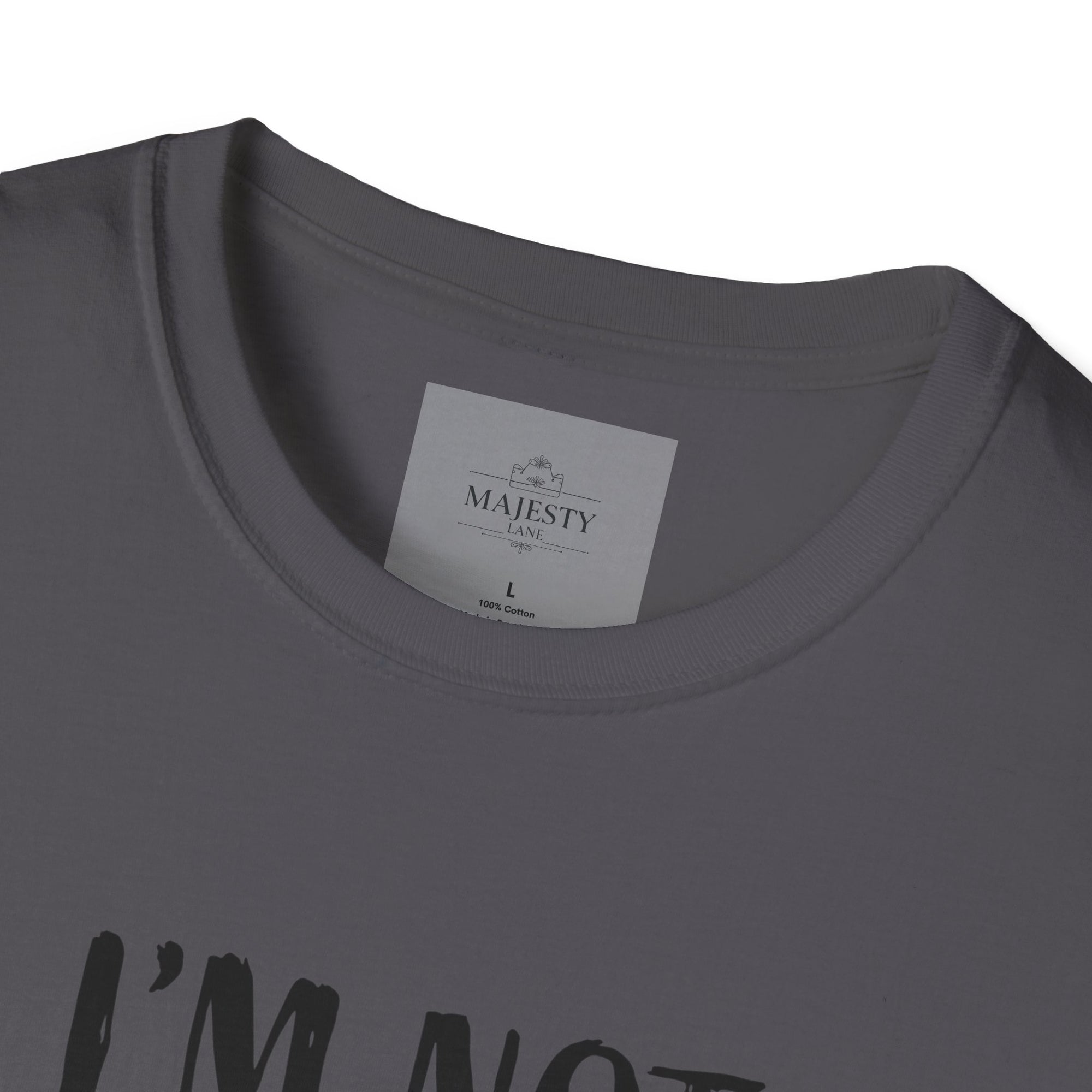 I am not short Unisex T-Shirt, Softstyle Tee, Inspirational Shirt, Heartfelt Gift