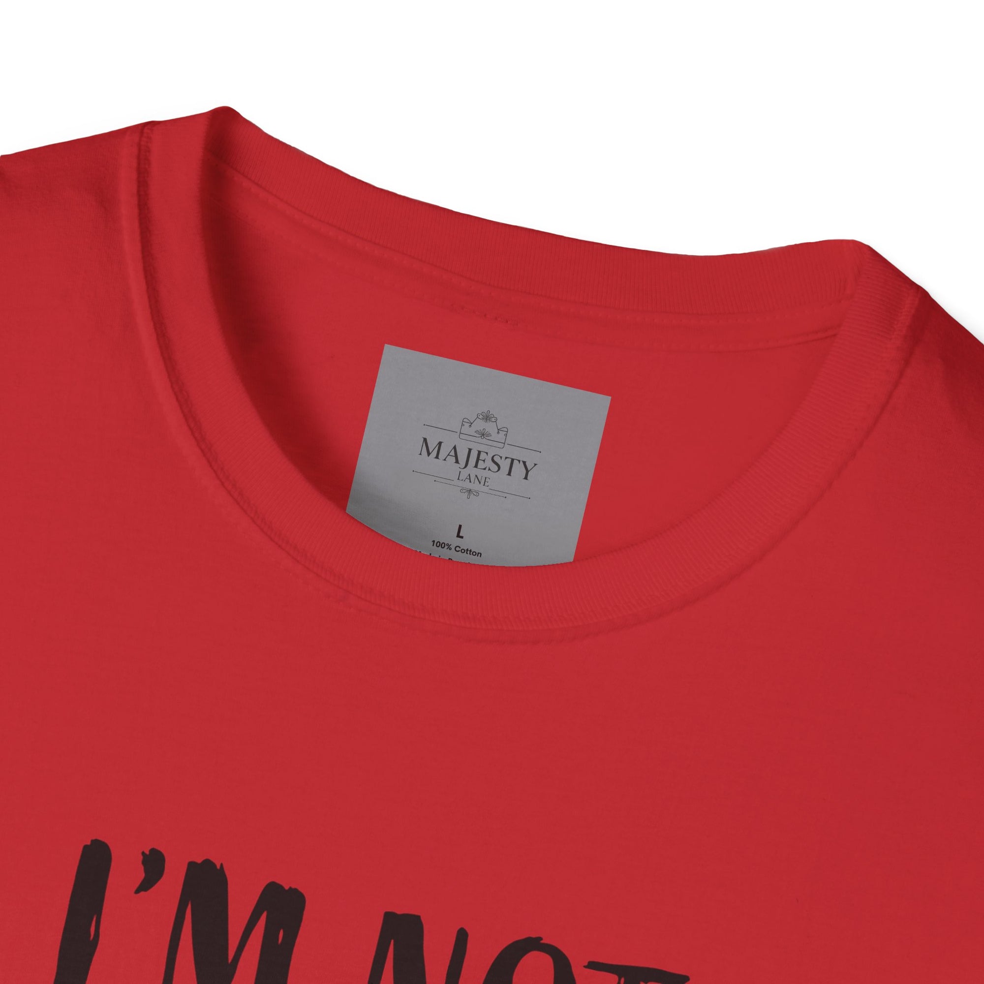 I am not short Unisex T-Shirt, Softstyle Tee, Inspirational Shirt, Heartfelt Gift