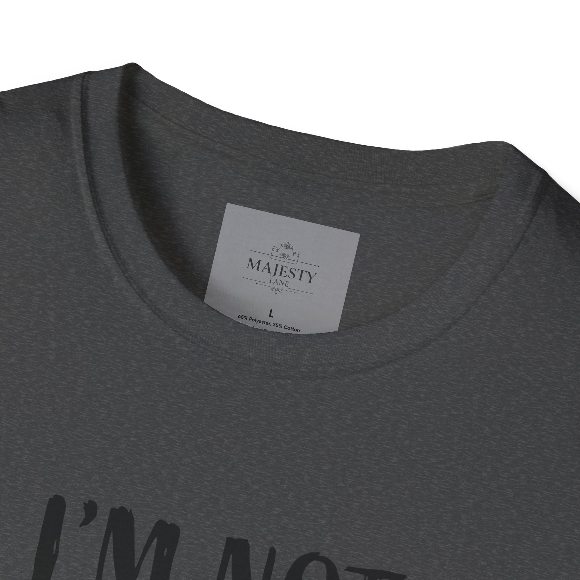 I am not short Unisex T-Shirt, Softstyle Tee, Inspirational Shirt, Heartfelt Gift