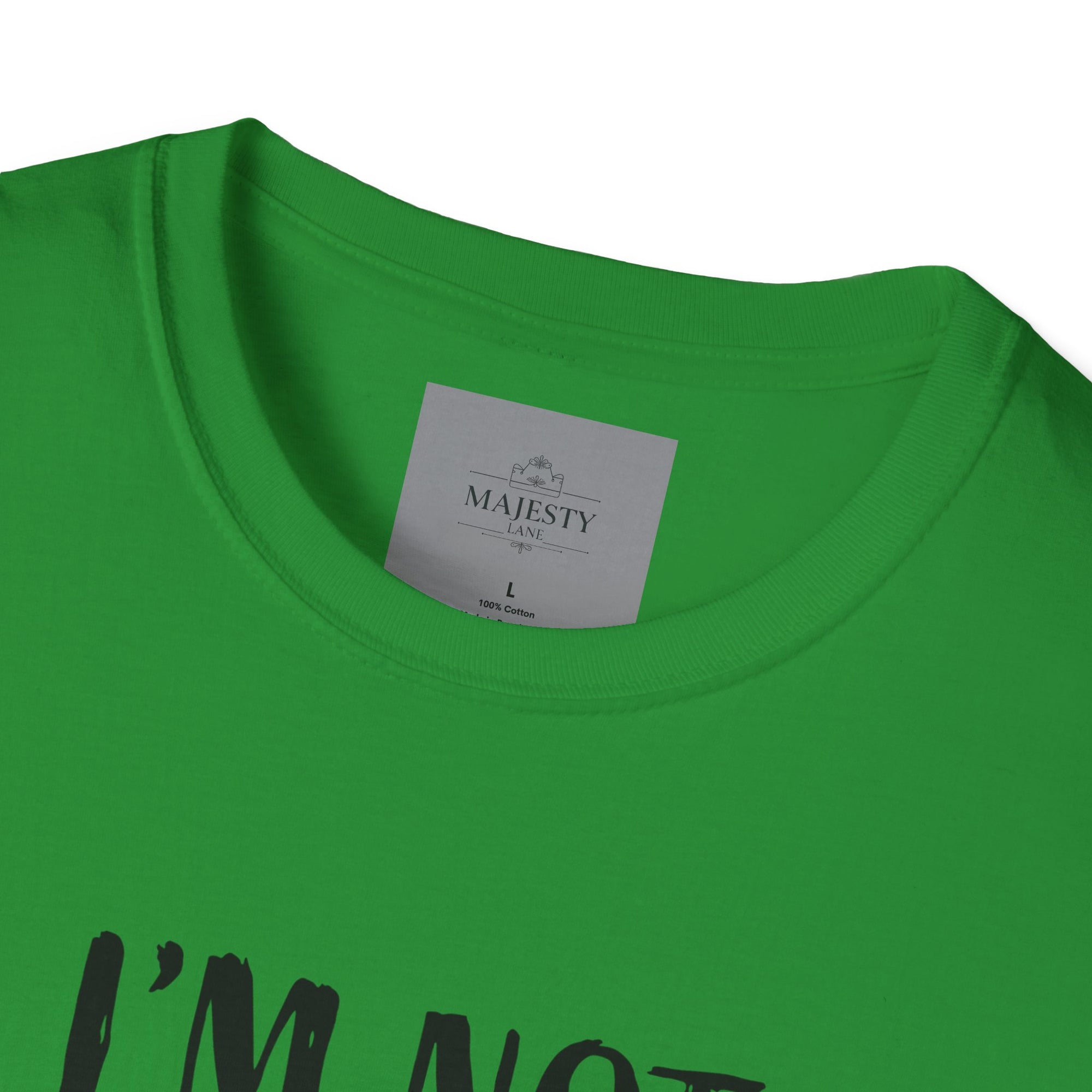 I am not short Unisex T-Shirt, Softstyle Tee, Inspirational Shirt, Heartfelt Gift